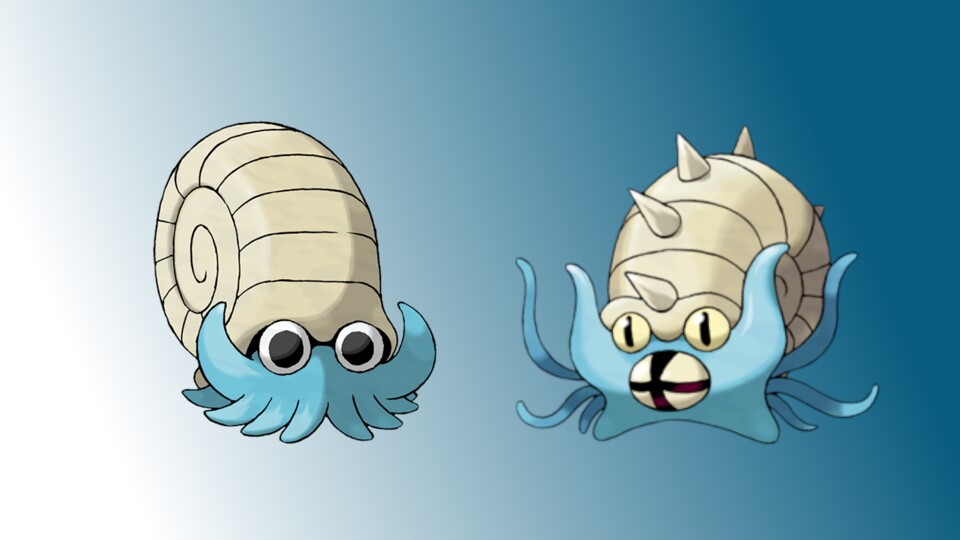 Amonitas (links) und Amoroso (rechts).