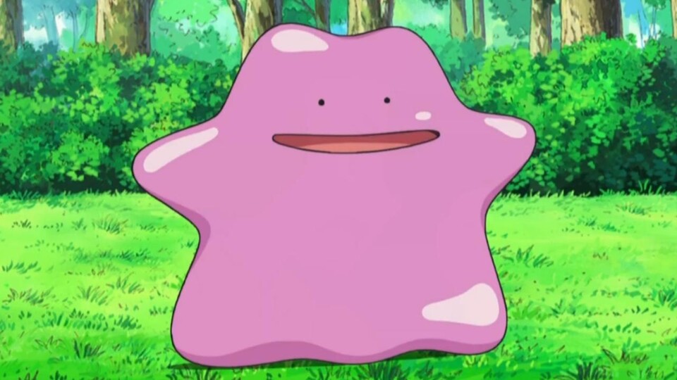 Natürlich könnt ihr auch in Pokémon Karmesin und Purpur Ditto fangen.