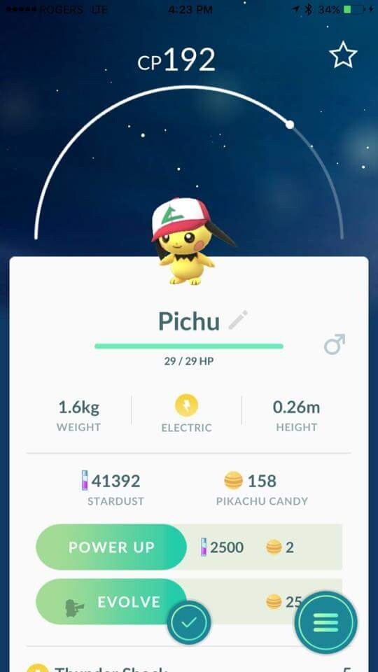 Pokémon GO – Pichu mit Ashs Mütze (Reddit)