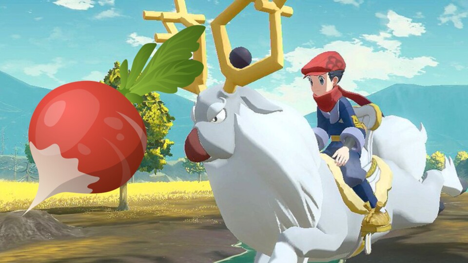 In Pokémon-Legenden Arceus müsst ihr Strandrettich für eine Nebenmission finden.