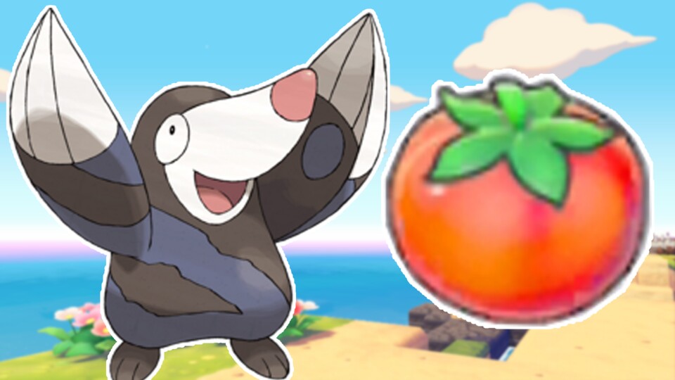 Alle Infos zu Tomaten in Pokémon Pokopia.