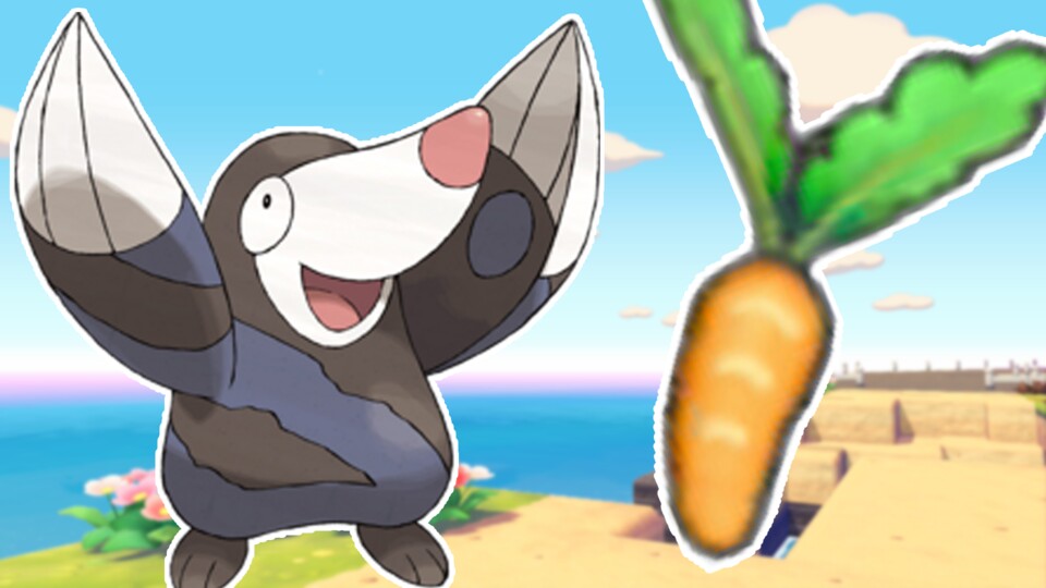 Alle Infos zu Karotten in Pokémon Pokopia.