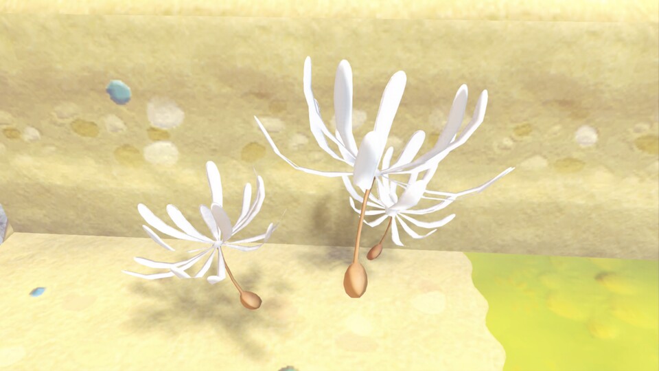 So sieht Pusteflaum aus. Auf hellen Hintergründen ist es leicht zu übersehen.