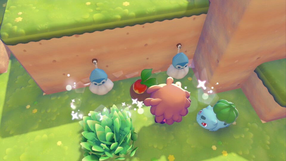 So sieht die Regenritualfläche aus.