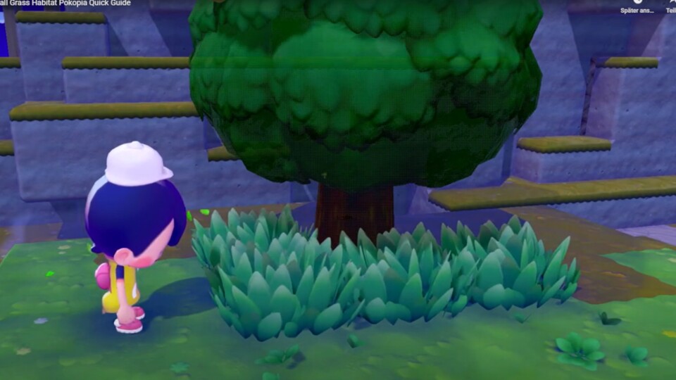 So sieht der für Sichlor benötigte Lebensraum aus. Quelle: https:www.youtube.comwatch?v=wMltv5SPLSU