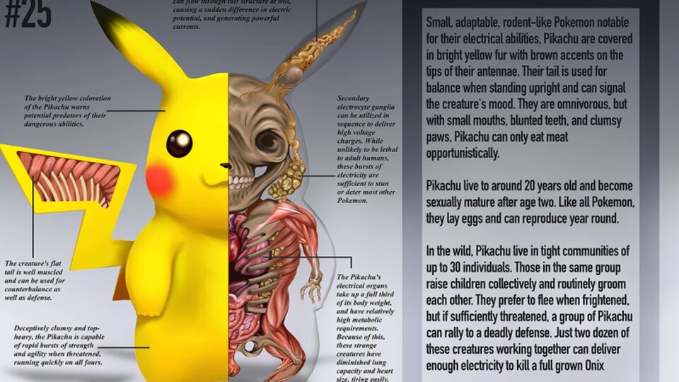 Pokénatomy beschäftigt sich mit Pokémon-Anatomie: Das Innenleben Pikachus (Christopher Stoll)