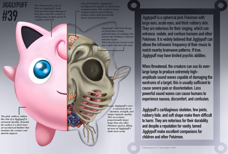 Pokénatomy: Die Anatomie der Pokémon (Christopher Stoll)