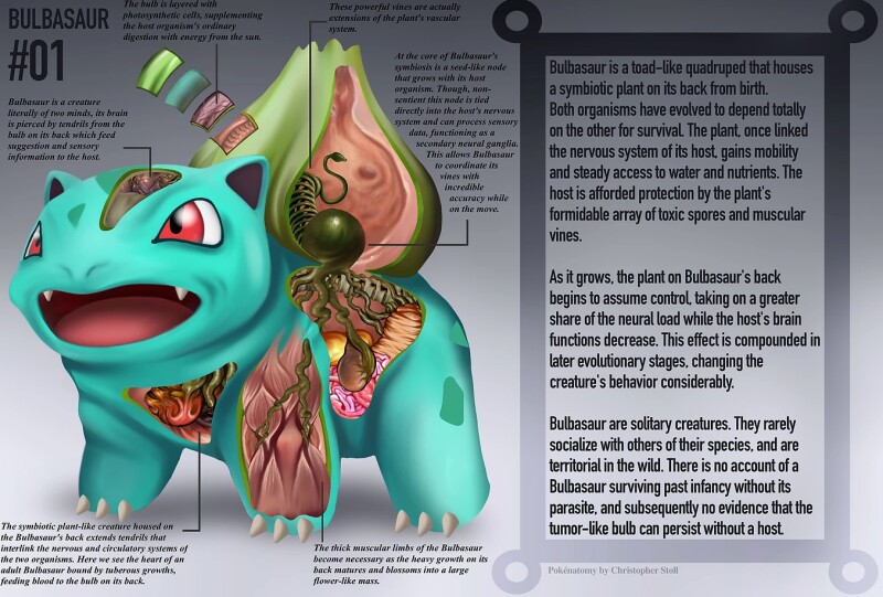 Pokénatomy: Die Anatomie der Pokémon (Christopher Stoll)
