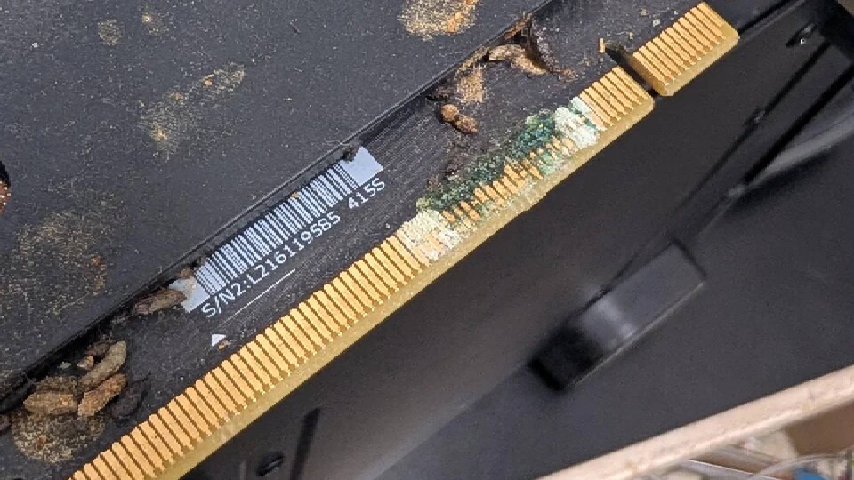 Das ist wirklich ein ekelhafter Anblick. (Bild: Solorian750 auf Reddit)