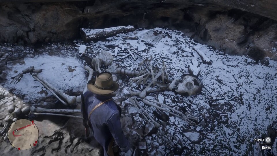 Hat die Karte vielleicht etwas mit dem riesigen Skelett zu tun, das ganz in der Nähe liegt?