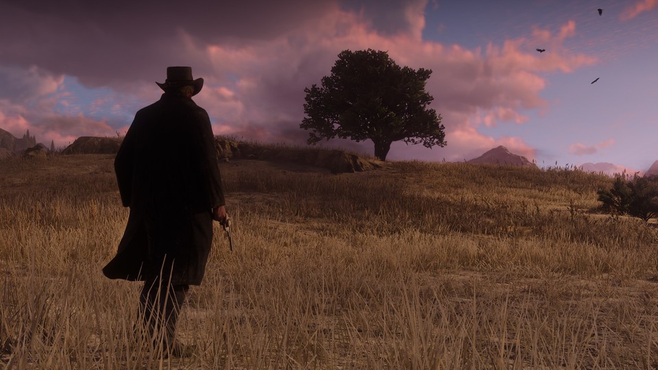 Unsere Vorschau zu Red Dead Redemption 2 für PS4 und Xbox One.