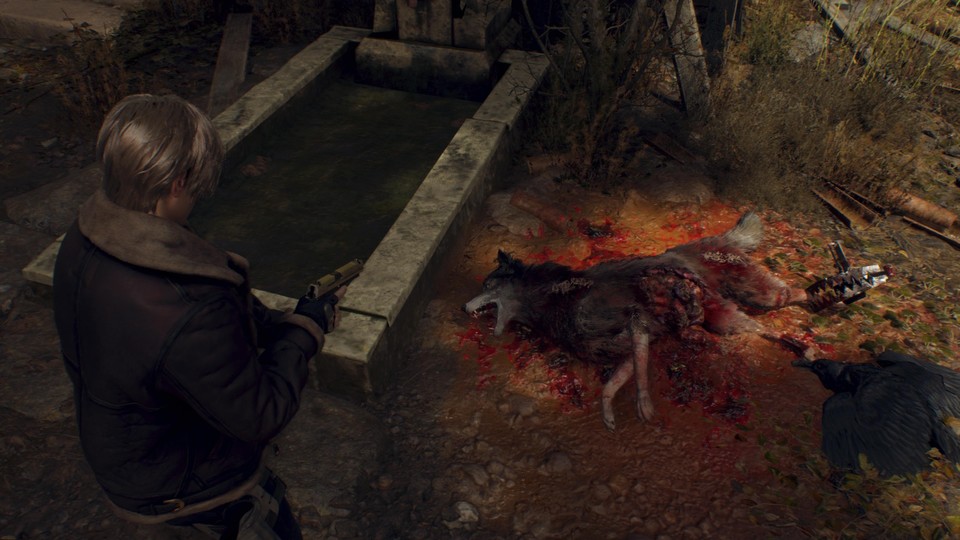 This is the poor dog we find in the remake at the very beginning.