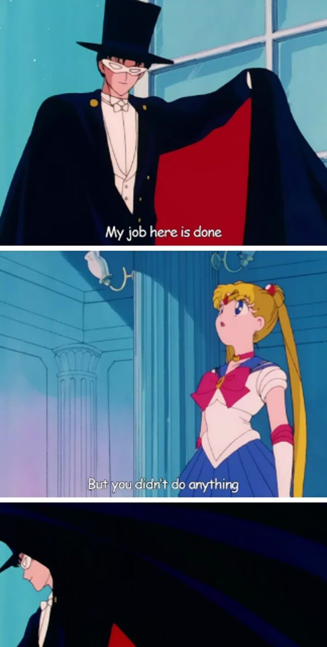 Der Dialog zwischen Sailor Moon und Tuxedo Mask hat zwar so genau genommen nicht stattgefunden, aber akkurat ist es trotzdem.