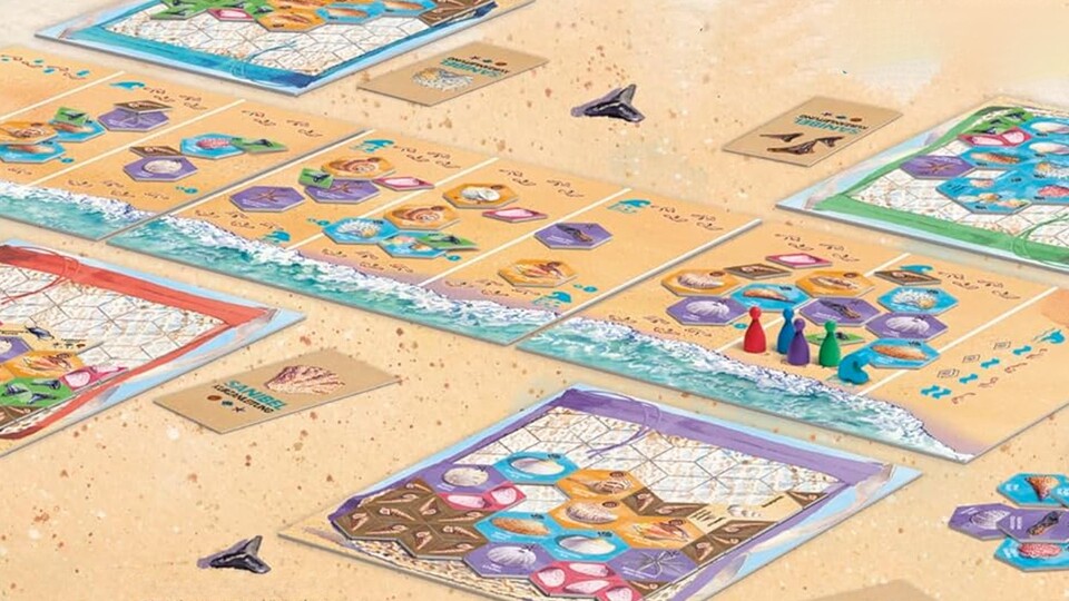 Auf den verschiedenen Strandabschnitten sammelt ihr verschiedene Muschelarten ein.
