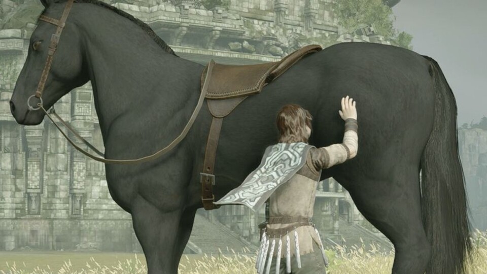 Pferd Agro ist etwas ganze Besonderes. Zumindest für viele Fans des Spiels und Wander. 