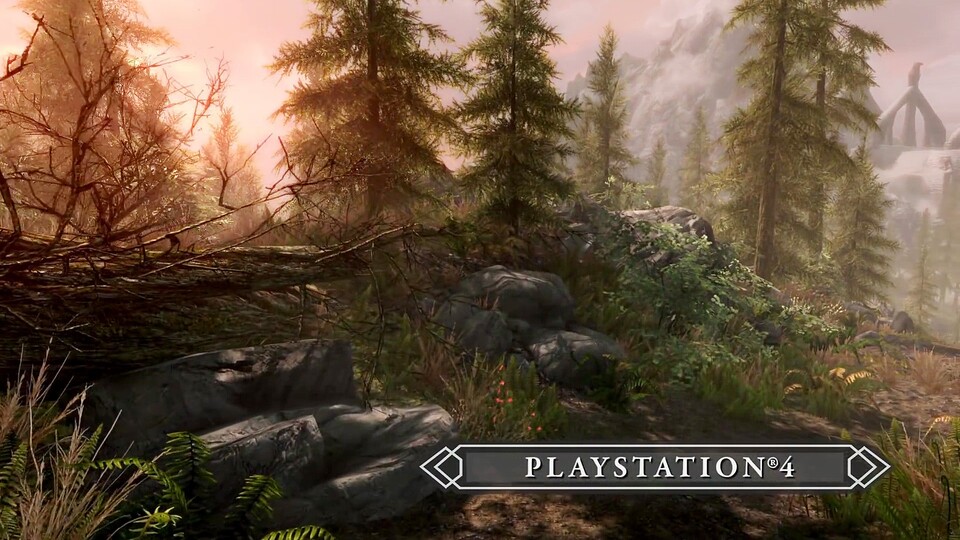 Skyrim-Mods für die PS4