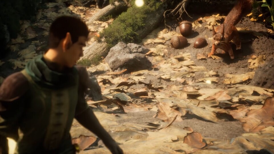 Einem Eichhörnchen sollte man nie den Rücken zudrehen. Vor allem nicht dann, wenn Eicheln im Spiel sind.