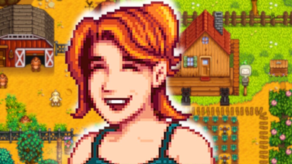 Robin dürfte so gute Vorausplanung stolz machen.