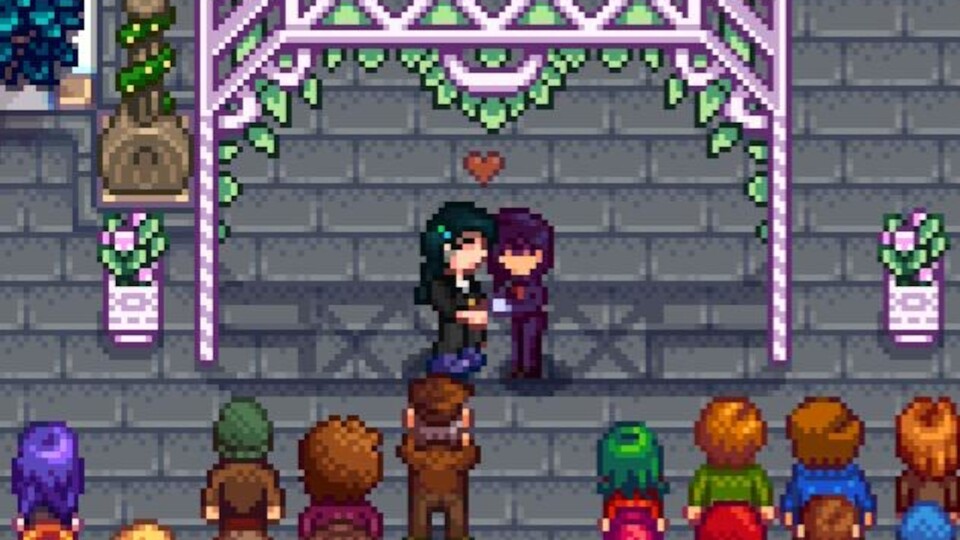 Hier seht ihr die mehr oder weniger missglückte Stardew Valley Hochzeit (Bild: reddit.comuserWeekly_Piccolo474).