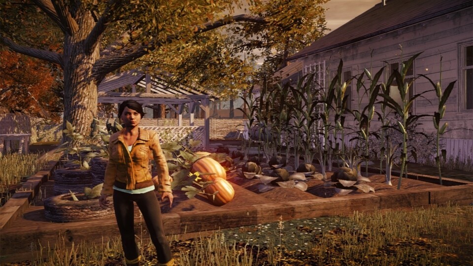 In State of Decay können Spieler in Stützpunkten Gärten errichten um sich mit Nahrung zu versorgen.