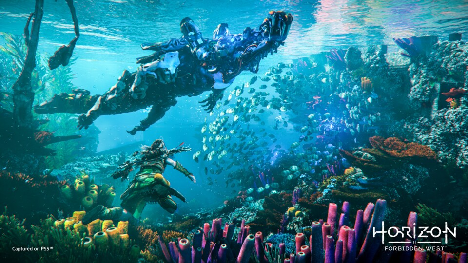Endlich kann Aloy auch tauchen und die schöne Unterwasserwelt erkunden.