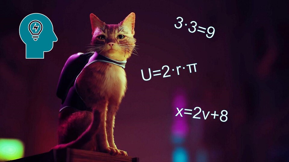 Mithilfe einiger mathematischen Formeln konnte der Nachhauseweg der Katze berechnet werden.