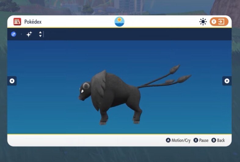 Tauros (Paldea) als Shiny