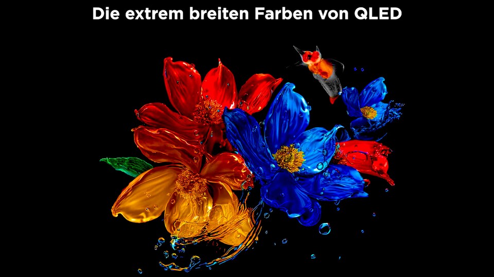 Das QLED-Display sorgt beim TCL T8C für satte und akkurate Farben.