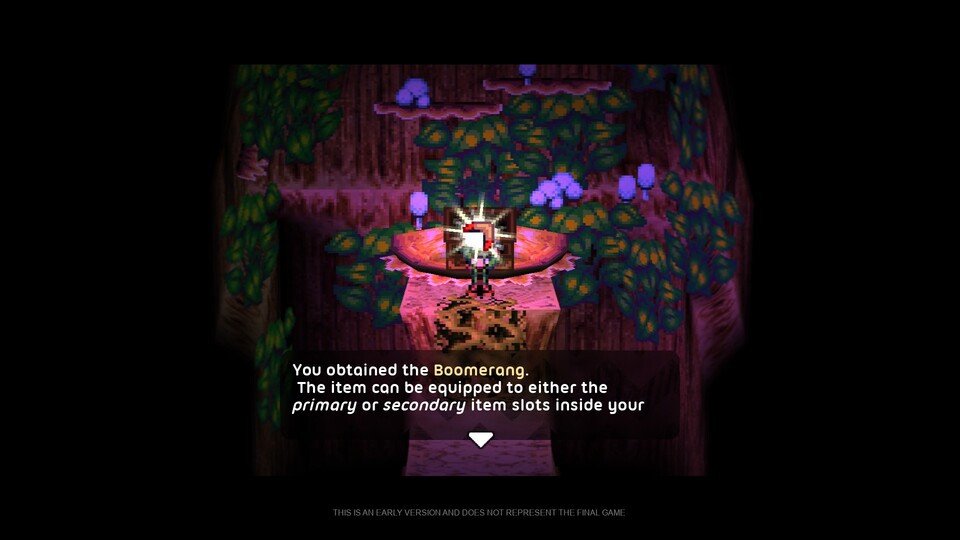 In Dungeons findet ihr ganz klassisch Schlüssel, Karten und natürlich neue Werkzeuge wie den Boomerang.