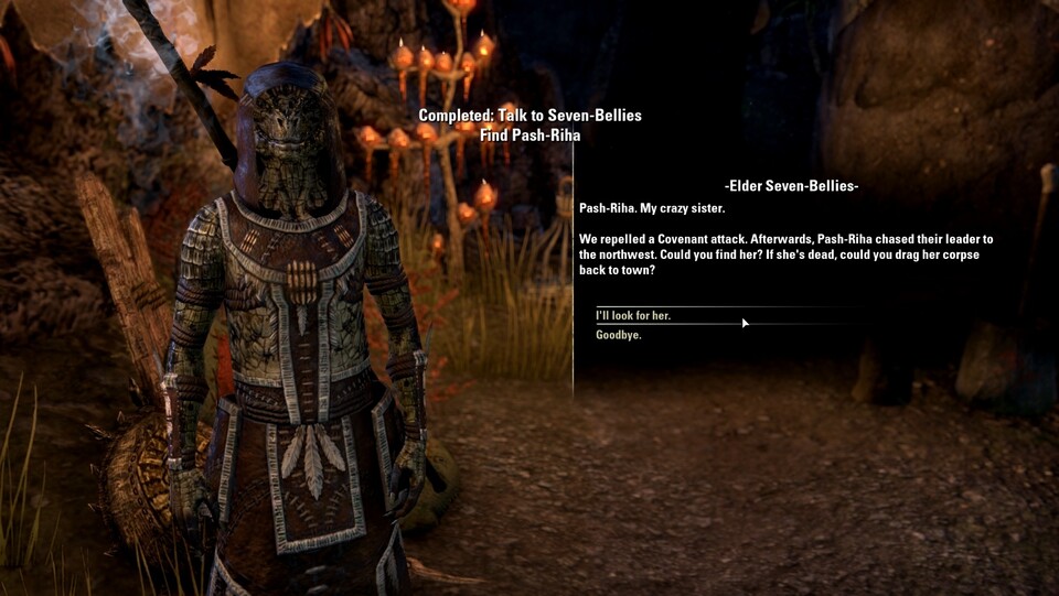 Quests nehmen wir in der typischen Skyrim-Perspektive an.