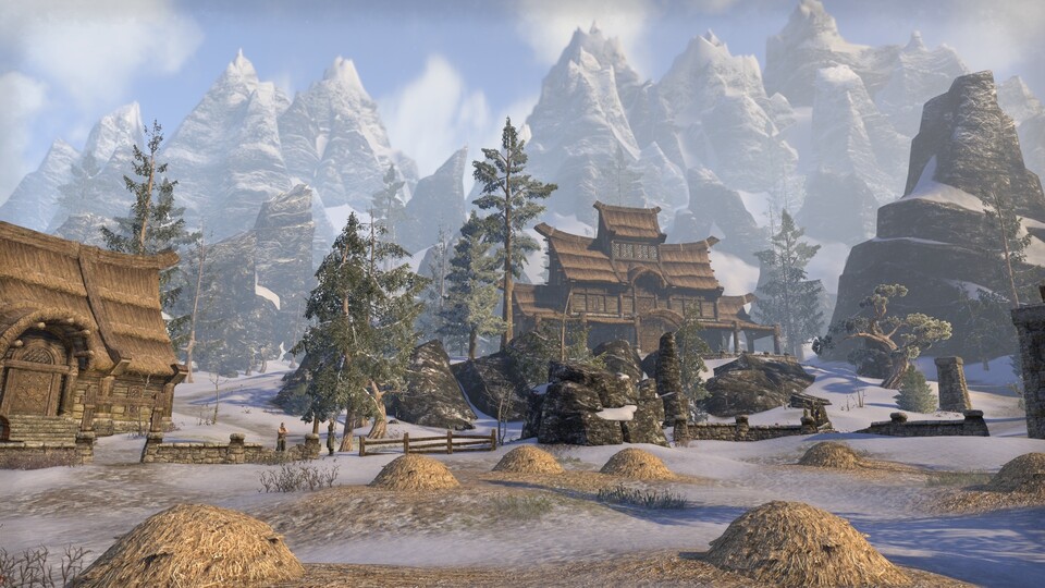 The Elder Scrolls Online lässt euch bald eigene Häuser erwerben