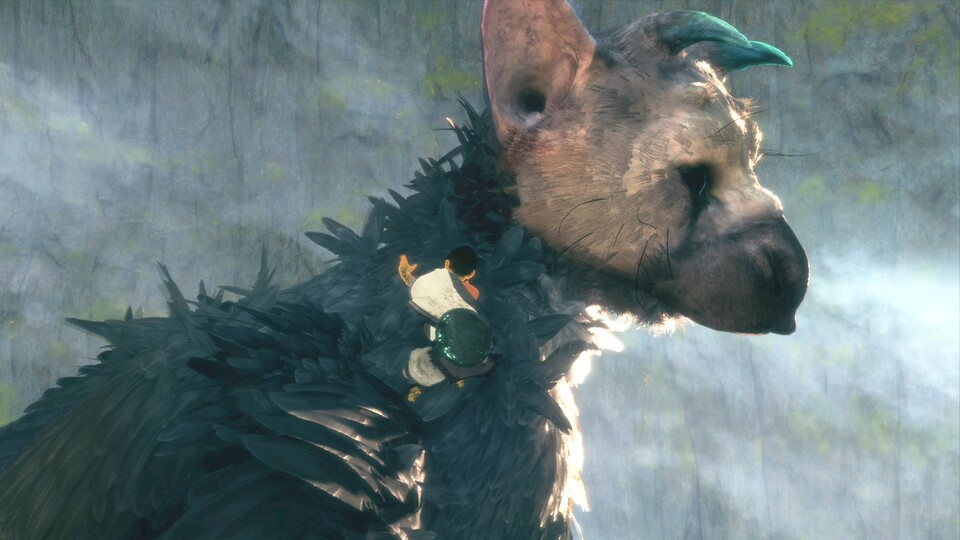 Das dichte Gefieder wird im Verlauf der Story regelrecht strubellig, da Trico so einiges durchmachen muss. Die wilde Anordnung zeigt aber auch sehr gut die Auswirkungen von Wind und Co.