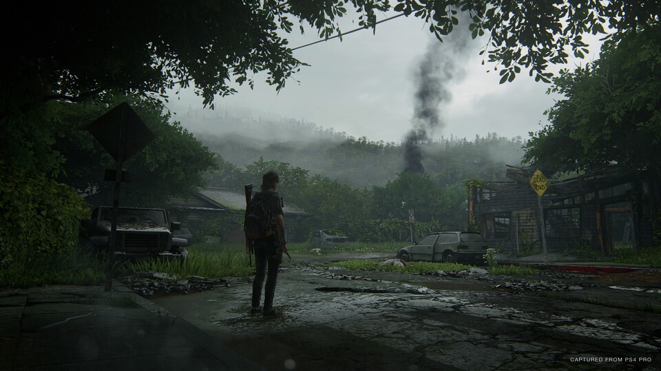 Ellies Geschichte in The Last of Us 2 gehen wir hier nicht an, weil wir Spoiler vermeiden wollen.