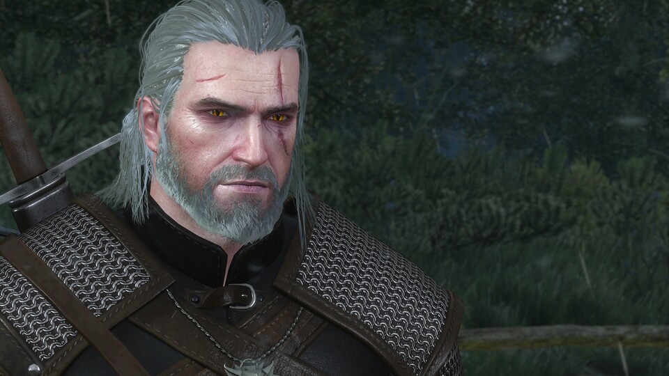 In der The Witcher-Serie bekommen wir nicht nur den erwachsenen Geralt zu sehen.