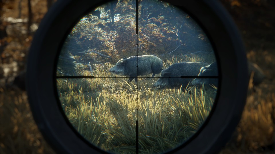 Die Konsolenfassung von The Hunter: Call of the Wild für PS4 und Xbox One soll im Laufe des Jahres 2017 erscheinen.