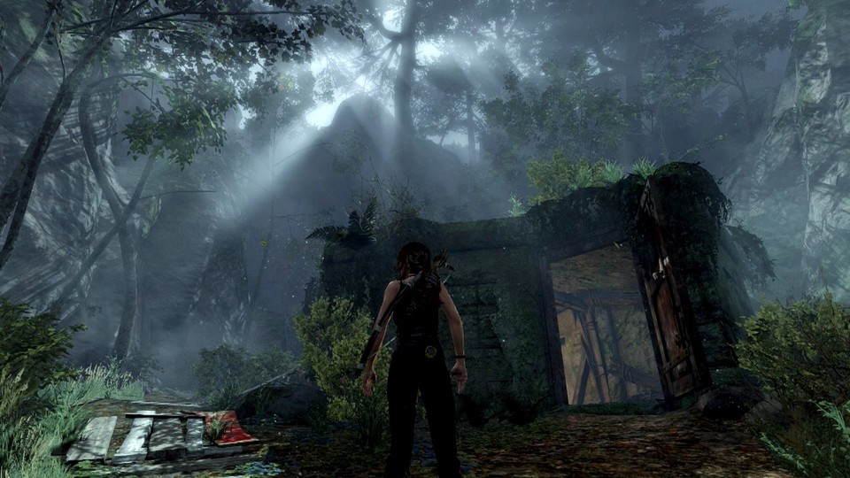 Tomb Raider Definitive Edition : Die Definitive Edition hat schicke Effekte zu bieten, wie etwa Lichtstrahlen, die durch das Blätterdach funkeln. [PS4] 