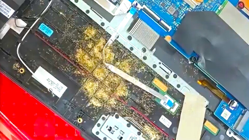 Was ist das, ein Laptop für Ameisen?! Ja, sieht so aus (Bild: reddit.comuserZestyclose-Salad-290).