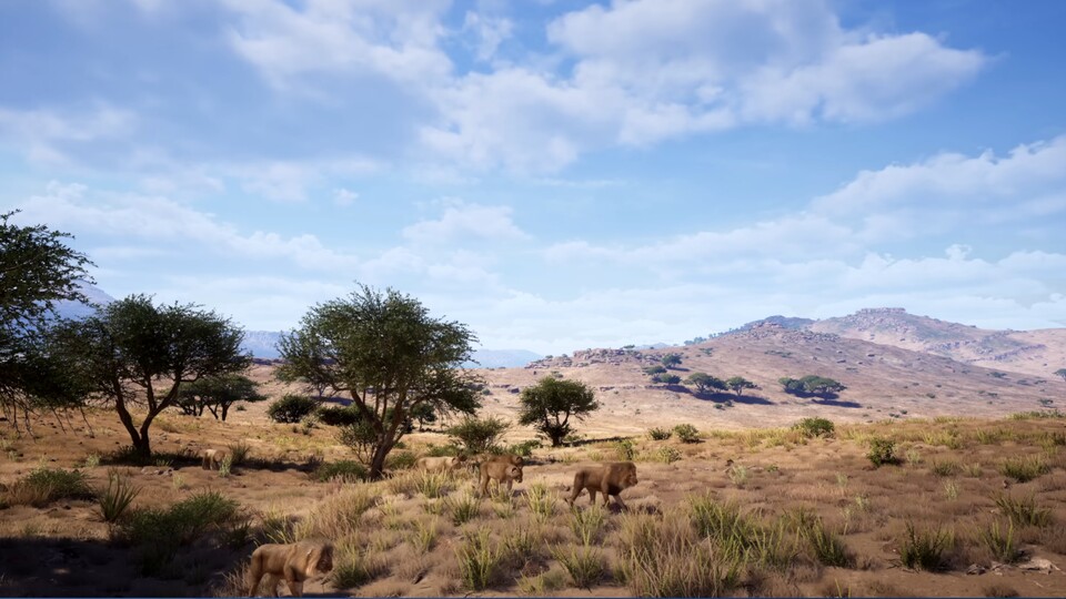 Neben den Wäldern Nordamerikas schickt euch das neue PS5-Spiel auch noch in eine zweite Open World in Afrika.