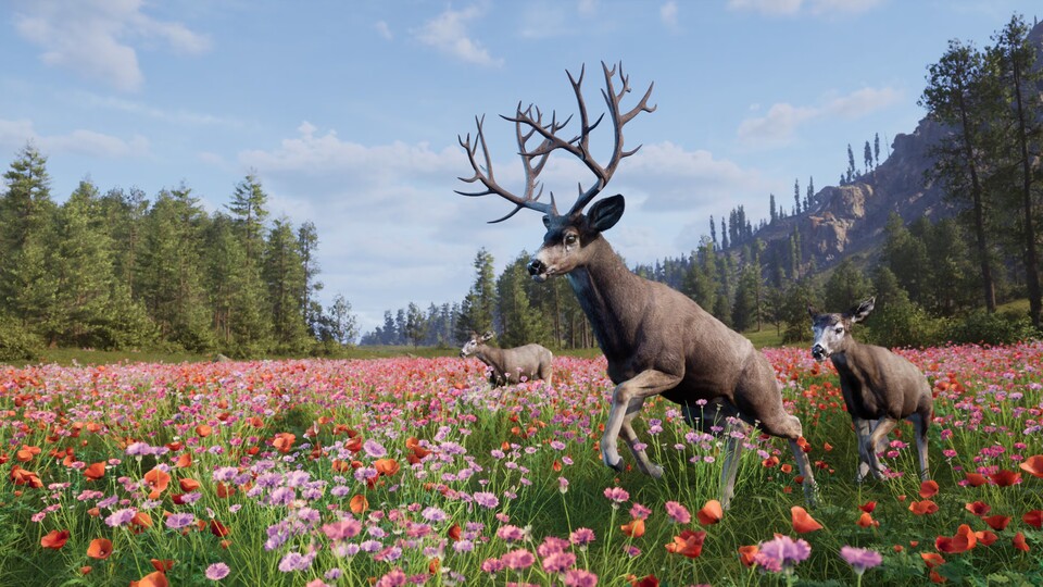 Die Wildnis dieses Open-World-Spiels ist erstaunlich idyllisch.