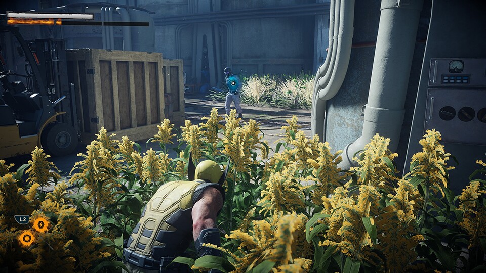 Hehe, in diesen gelben Blumen entdeckt mich auch mit meinem knallgelben Anzug keiner!