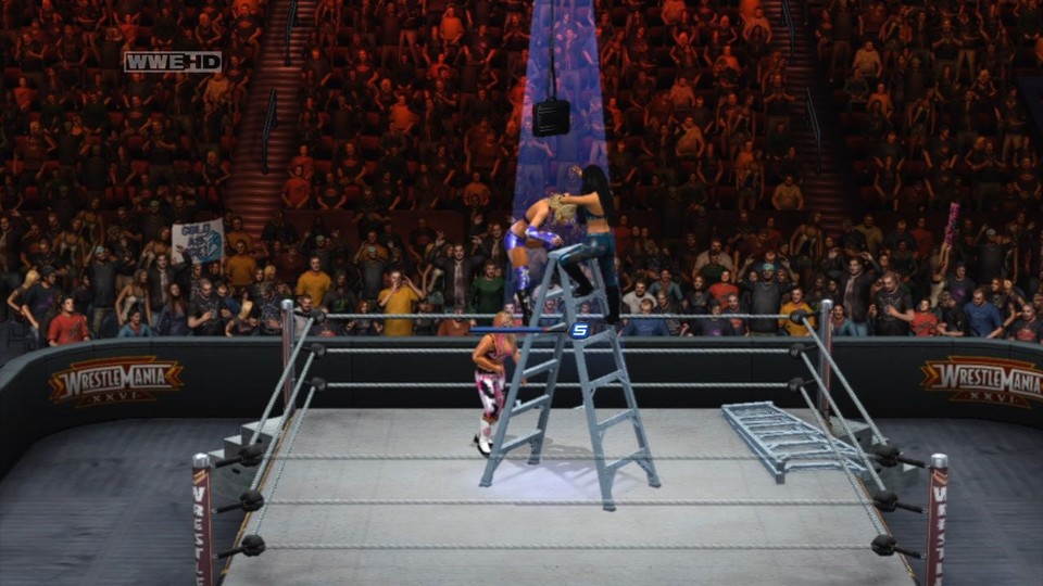 Wenn zwei Hühner sich auf der Leiter streiten, freut sich die dritte WWE-Diva!