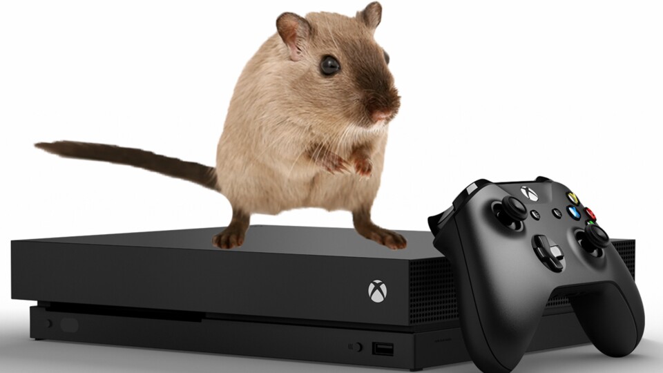 Ganz so niedlich ist die echte Ratten-Xbox dann doch nicht.