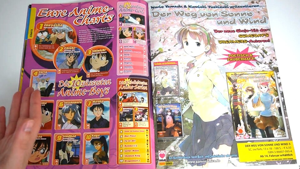 Damals waren die Charts der süßesten Anime-Boys und coolsten Anime-Girls das Gesprächsthema Nummer 1. (© Panini YouTuber Ferus)