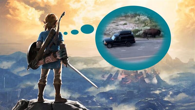 Während ein Gamer einen Berg erklimmt, um dort Zelda zu spielen, wird sein Auto von einem Bison gerammt.