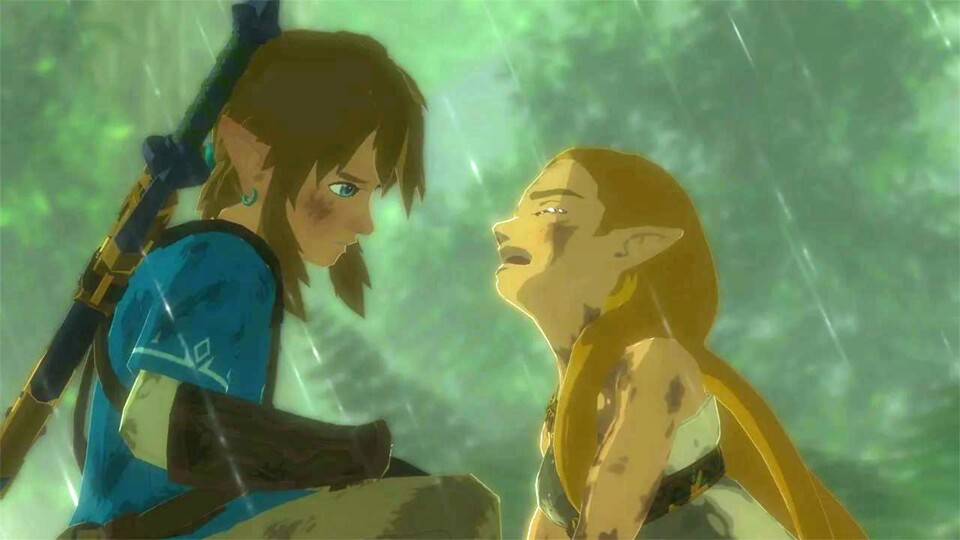 So in etwa könntet ihr aussehen, wenn ihr den Trick in Zelda: Breath of the Wild zu lange trainiert.