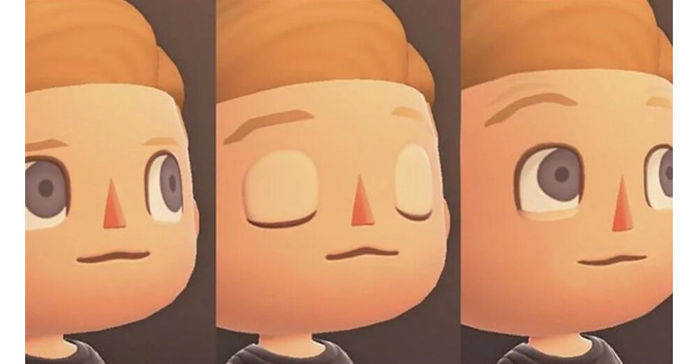 -Du-hast-gerade-mein-Leben-ver-ndert-Animal-Crossing-Fan-findet-nach-3-Jahren-heraus-dass-M-lleimer-und-Toiletten-nicht-nur-Deko-sind