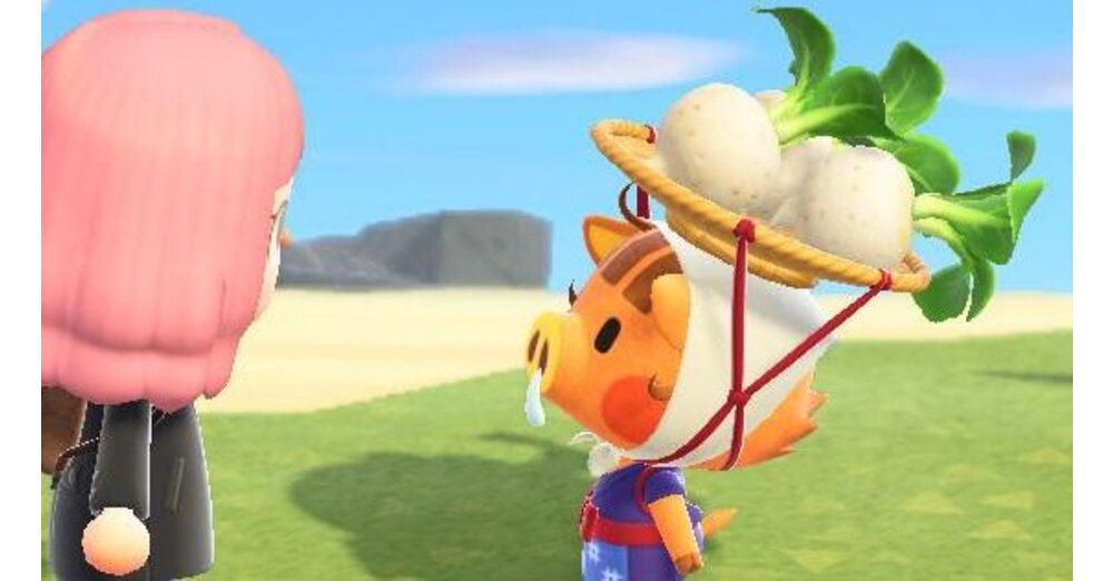 Animal Crossing Rüben kaufen, verkaufen und reich werden so geht