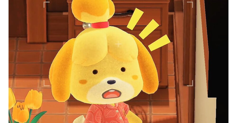 -Du-wirst-es-bereuen-Animal-Crossing-Fan-l-scht-nach-1000-Stunden-seine-Insel-wegen-Update-3-0-doch-Community-r-t-davon-ab