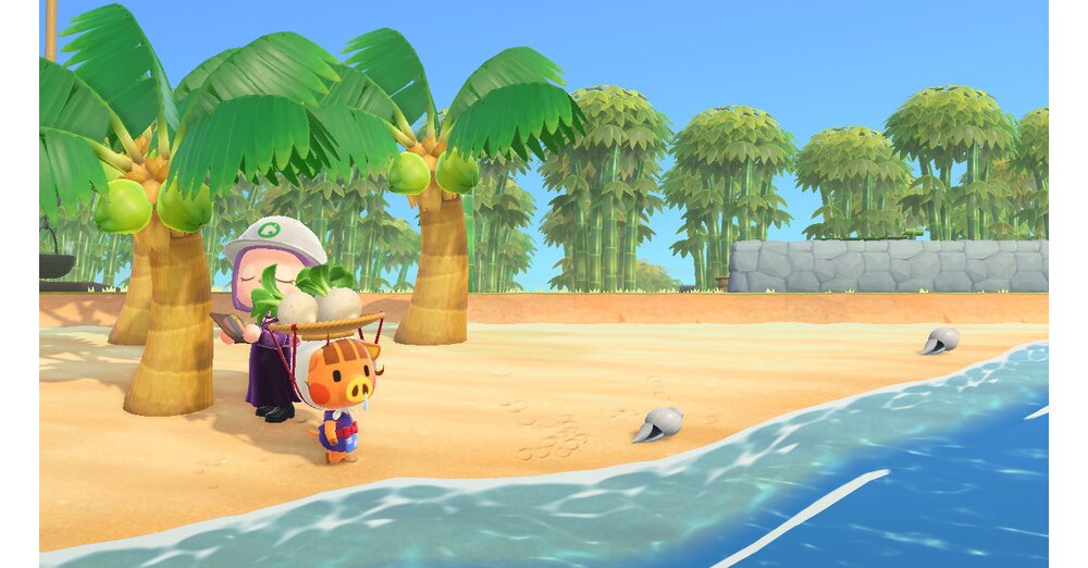 Animal Crossing DLC：在Happy Home Paradise中，每個帳戶終於有自己的分數