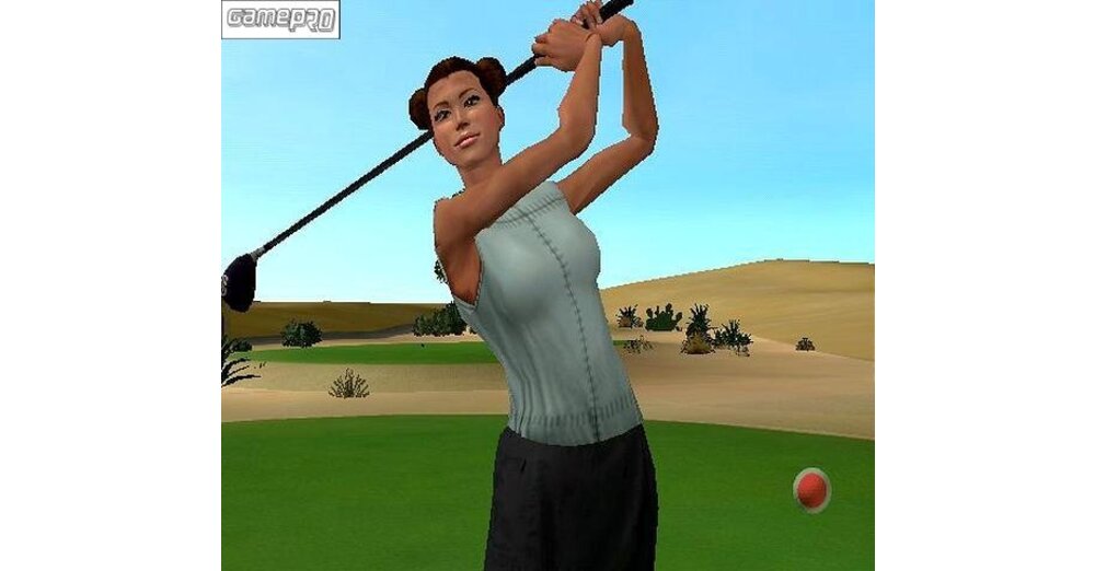 Tiger Woods PGA Tour 2004